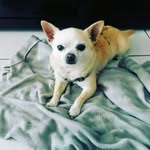 Geneviève Schmitz - @genevieve.schmitz.353 - Instagram