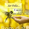 user5223079658207 - @geneschmitz67 - TikTok