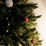 Gene Self - @deurpolik - Instagram