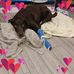 Gene Simpson - Facebook