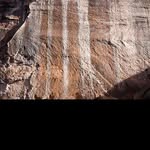 @gene_stanley - Instagram