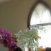 Gene Stratton-Porter Hopewell Foundation - Facebook