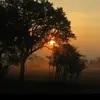 genestratton - @genestratton - TikTok
