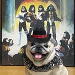 星祐子 - @genesunshine - Instagram