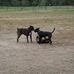 Gene Mitchell Sutton Jr. - Facebook
