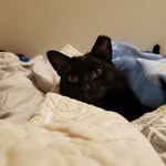 Thackery Eugene Binx - @thackeryeugenebinx - Instagram