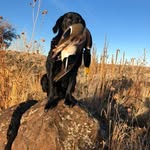 Gene Tracy - @draketaker78 - Instagram