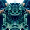 Gene Wang - @2155883112 - TikTok