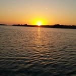 Gene Whaley - @whaleygene - Instagram