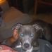 Gene Whaley - Facebook
