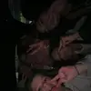 imogene_whaley - @imogene_whaley - TikTok