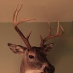 Gene Wheaton - @genewheaton - Instagram