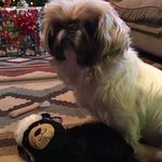Pamela Gene Whiting - @pamela.g.whiting - Instagram