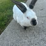 Raelynn Gene Wiseman - @raelynngene - Instagram