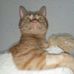 Gene Wolff - Facebook