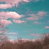 GeneWolf - @genewolf6 - TikTok