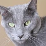 Gene Yee - @geneyee22 - Instagram