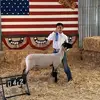 user6986680362631 - @gene_forrest_yeeyee - TikTok