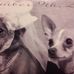 Geneva Yoder - Facebook