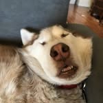 Nujhat Naila Zinnia - @generation_zinnia - Instagram