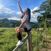 Genesis Duran - Facebook