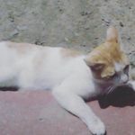 Genesis Guajardo - @genase2023 - Instagram