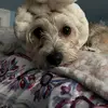 Genesis Marquez - @genesis.marquez73 - TikTok