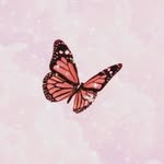 Genesis Montejo - @montejo9403 - Instagram