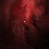 Genesis Moore - @genesis.moore24 - TikTok