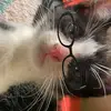 Genesis Patlan - @genesis.patlan1 - TikTok