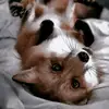 Genesis - @genesis.polanco34 - TikTok