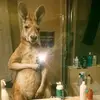Genesis Polanco - @genesis.polanco53 - TikTok