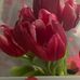 Genesis Robinson - Facebook