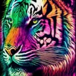 Genesis mato Rocha - @genesismatorocha - Instagram