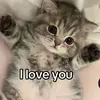 Genesis Sanchez - @genesis.sanchez9153 - TikTok