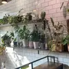 gen - @genesis.serrano_ - TikTok