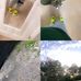 Genesis Smith - Facebook
