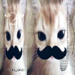 Genesis Tadeo - @genesis_tss - Instagram