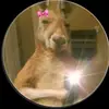 Genesis Teran - @genesis.teran8 - TikTok