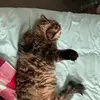 GWatkins - @genesis.watkins2023 - TikTok
