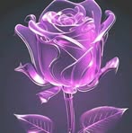 Genoveva Barron - Facebook