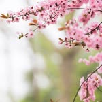 Geneva Carpenter - @genevacarpenter539 - Instagram