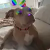 gennacovingtonn - @gennacovingtonn - TikTok