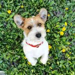 MJGenevieveGrace/FrankHeart - @geneva.frank.jrt - Instagram