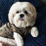 Gene Van Gordon - @gene_van_gordon - Instagram