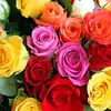 3125364970 - @genevaknox - TikTok