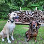 Geneva Mccall - Facebook