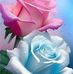 Geneva Moran - Facebook