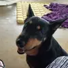 genevamorace - @genevamorace - TikTok