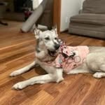 Geneva Ramirez - @geeelikescookiessss22 - Instagram